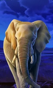 African Elephant